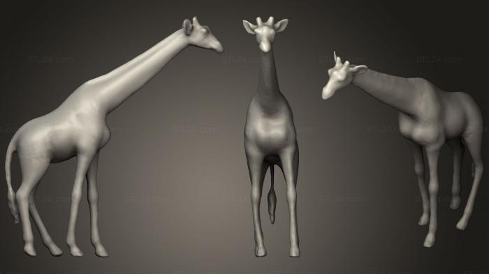 Статуэтки животных (Жираф, STKJ_1711) 3D модель для ЧПУ станка